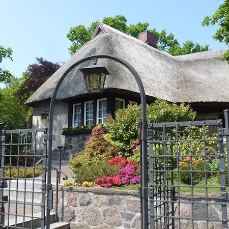 Landhaus Wilkens Бабе Екстер'єр фото